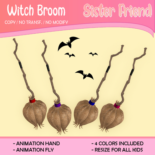 SF Witch Fun Broom