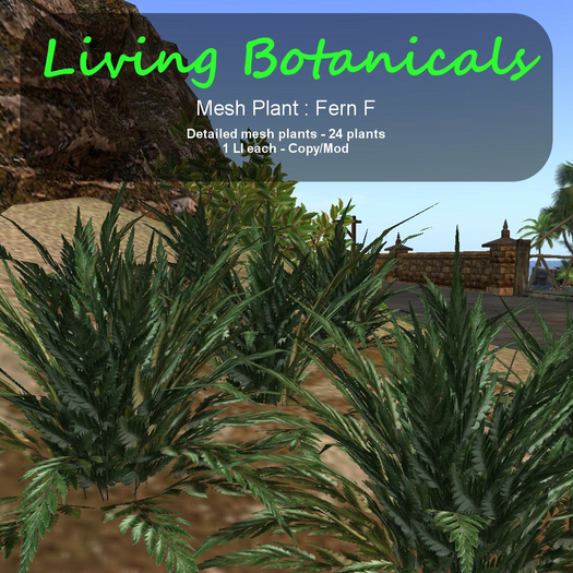 Inochi Botanicals - Mesh Plant "Fern F"