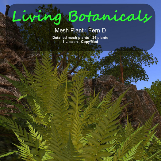 Inochi Botanicals - Mesh Plant "Fern D"