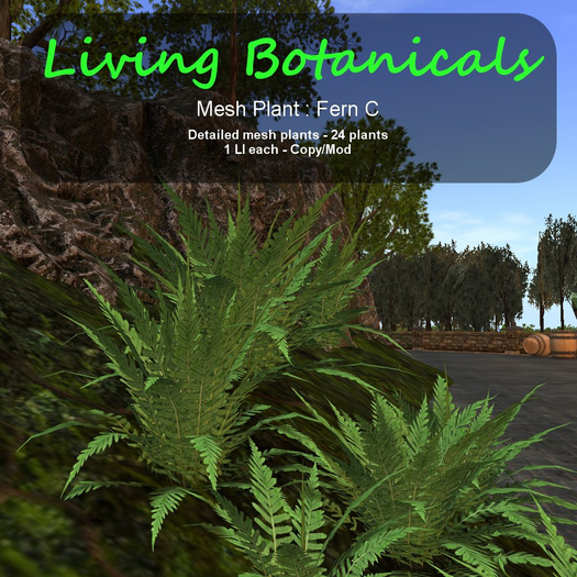 Inochi Botanicals - Mesh Plant "Fern C"