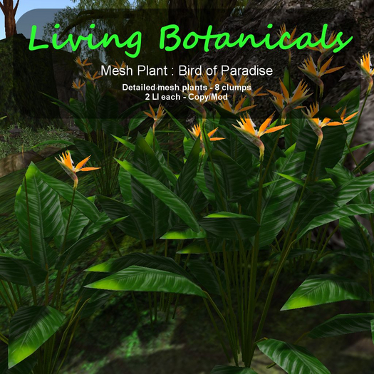 Inochi Botanicals - Mesh Plant "Bird Of Paradise"