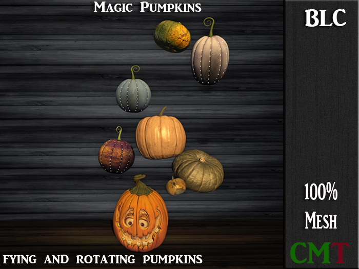 BLC Magic Pumkins