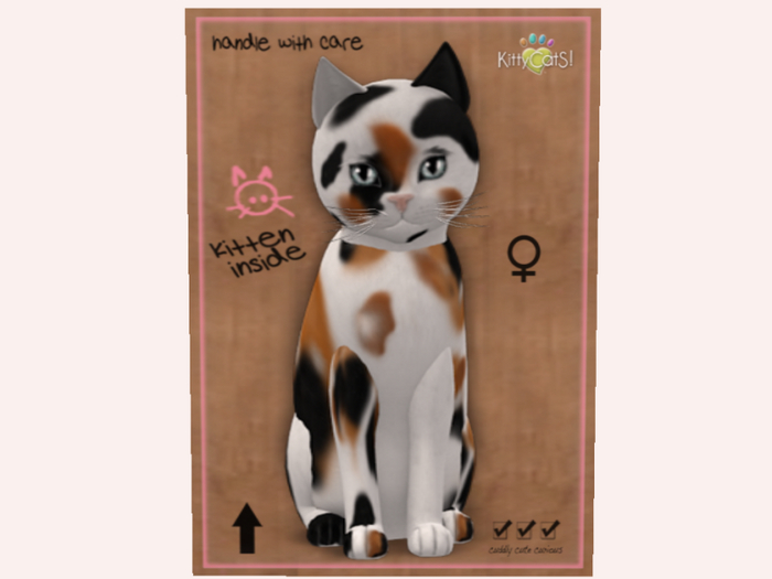 NBK Chateau Cat - 3 Spot No. 1 F Norm Retired Fur
