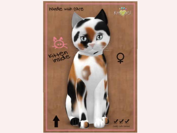 NBK Chateau Cat - 3 Spot No. 1 F Norm Retired Fur.