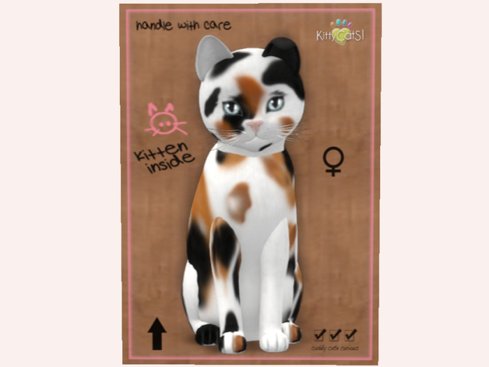 NBK Chateau Cat - 3 Spot No. 1 F Norm Retired Fur/Ears  