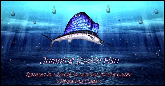 ~ S. F. ~ Sailfin fish