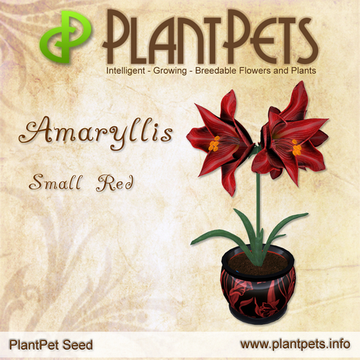PlantPet Seed [Amaryllis *Small Red*]
