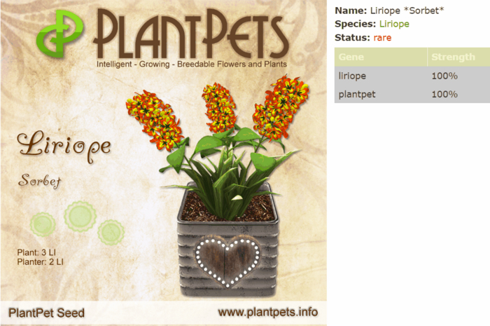 PlantPet Seed [Liriope *Sorbet*]