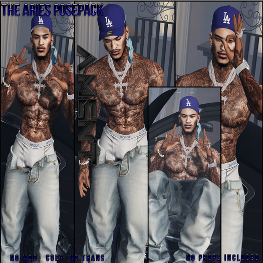 AMENT - The Aries PosePack