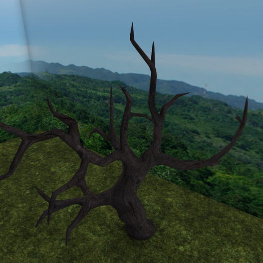 DFS HW Deadwood Tree #1