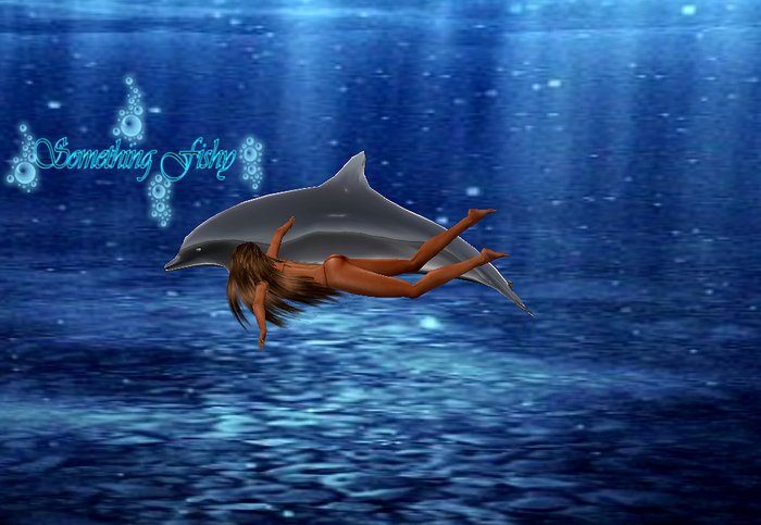 ~ S. F. ~ Swim with dolphin 6