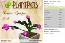 PlantPets Seed-Xmas Cactus *Pink*-Common-Taking care of Plantpets is FREE!!