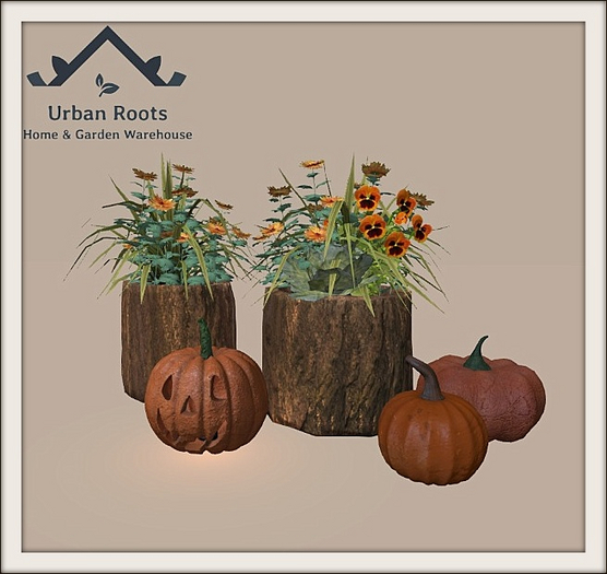UR Autumn Mums & Pumpkins Set 
