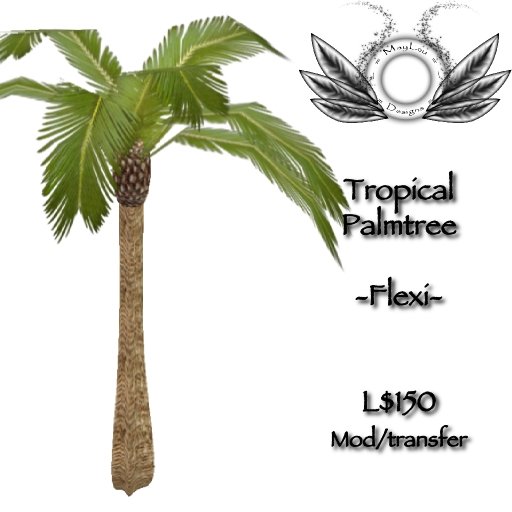 Tropical palm with flexi leaves which move in the breeze :)