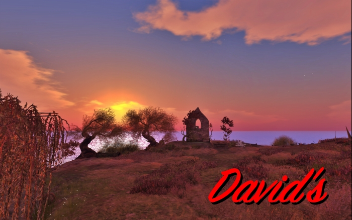 Autumn Sunrise