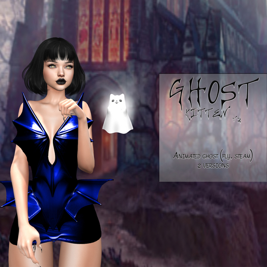 .:[WoN]:. Ghost Kitten #2