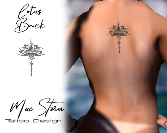 Lotus - back