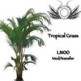 Tropical grass