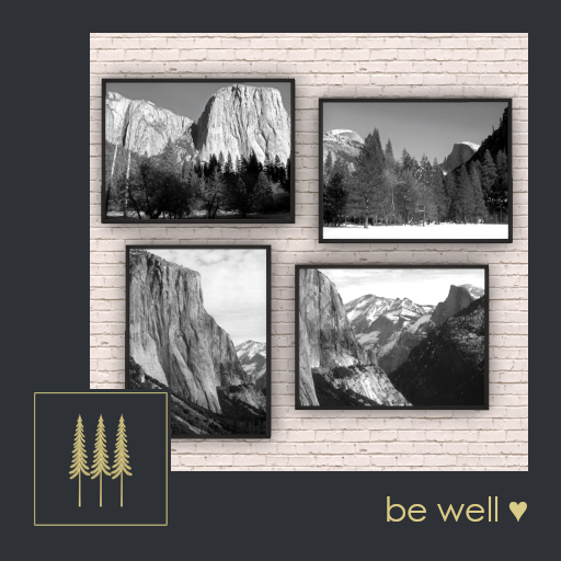NEW ➛ Yosemite in Black and White, Original B&W Photography, Set of 4, in Floater Frames - Mesh C/M (Wear to Unpack)