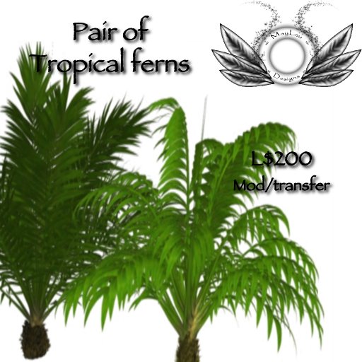 Tropical ferns with flexi leaves which move in the breeze  - includes two plants one light one dark :)