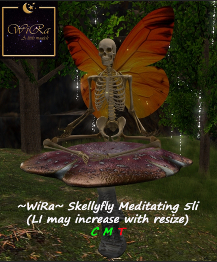 ~WiRa~ Skellyfly Meditating