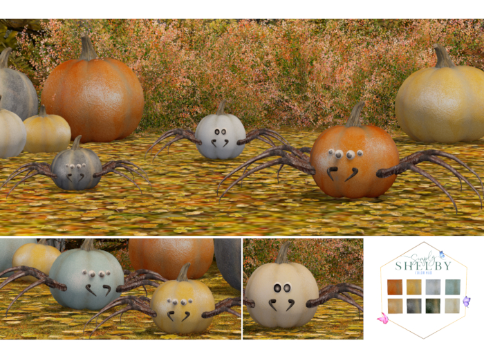 Halloween Spider Pumpkin set  