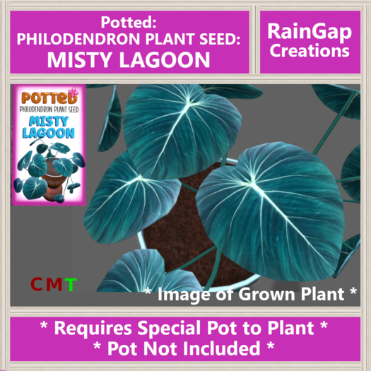 Potted: Philodendron Plant Seed: Misty Lagoon ACTUAL ITEM