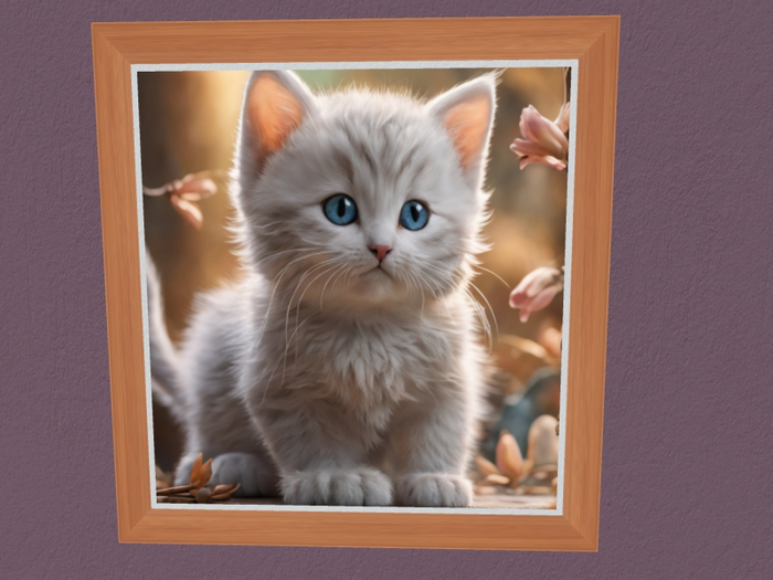 Kitten