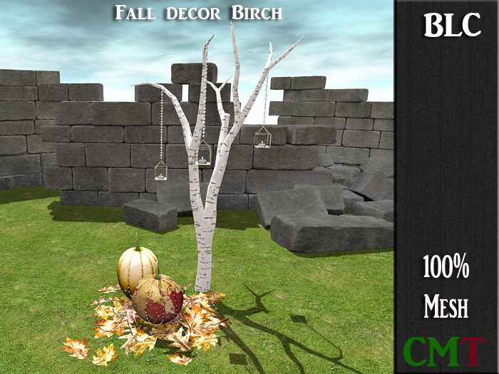 BLC Fall decor Birch