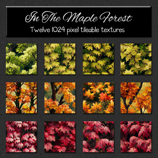 *Wallflowers* In The Maple Forest