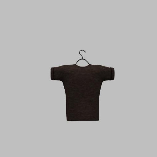 Clothes Hanger with mans tee-brown