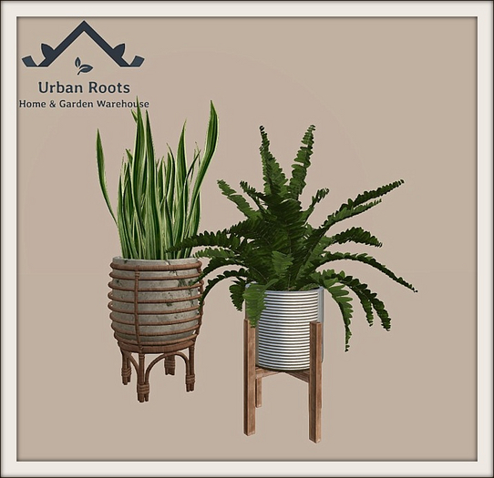UR Belamy Plant Set 