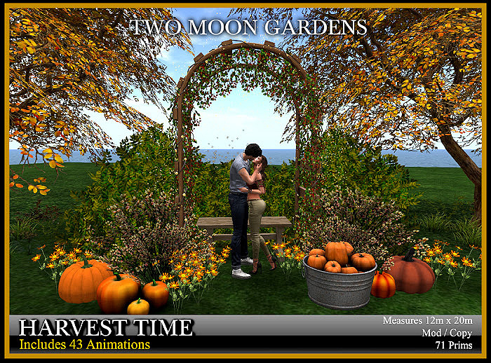 Garden|HarvestTime