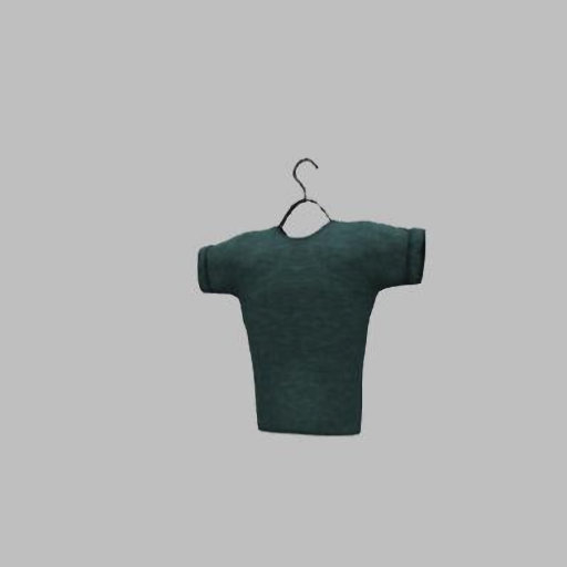 Hanger with mans tee-teal