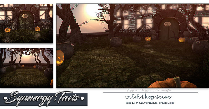 SYNNERGY.TAVIS//Witch Shop Scene 