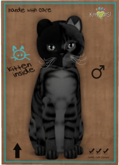 KittyCatS Box - Chimera - Charcoal Mist