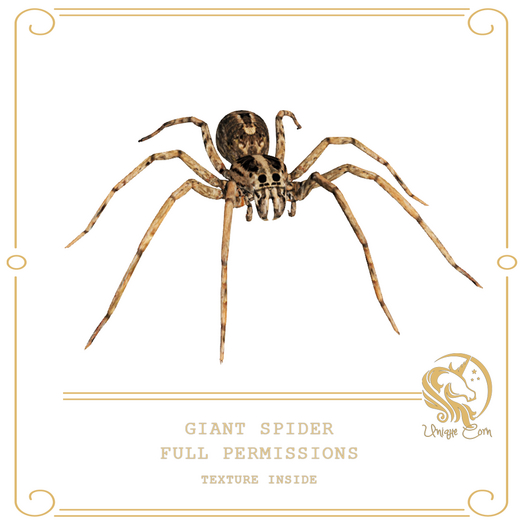 Full Perm Giant Spider