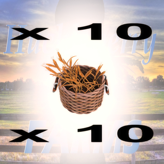 DFS Barley Basket  - 10 Count