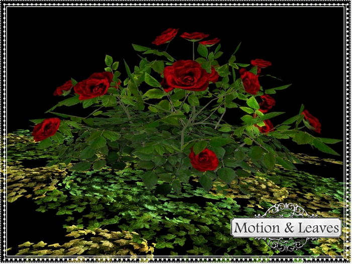 Motions & Leaves- Red Roses