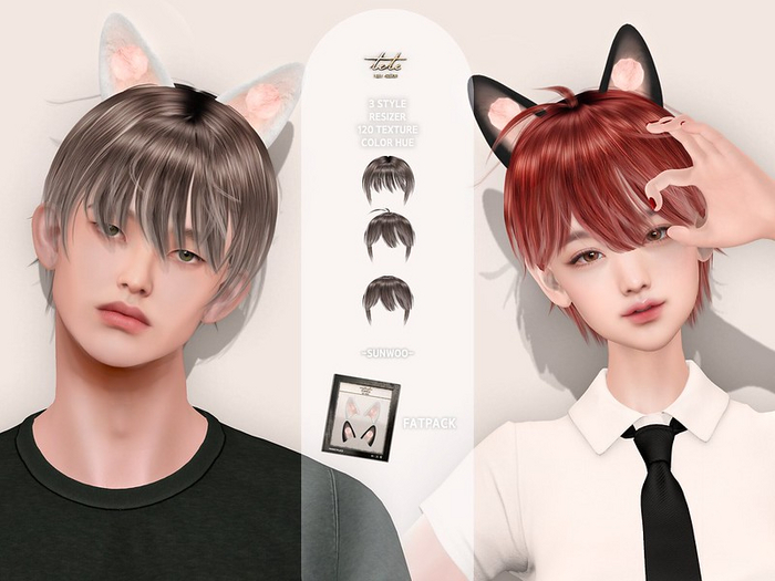 TETE - SUNWOO Hair FATPACK [ADD]