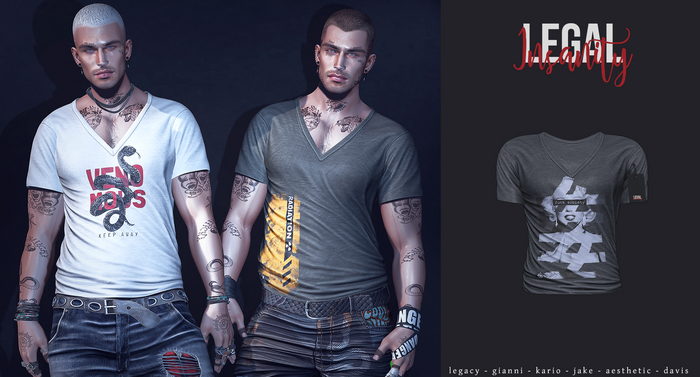 Legal Insanity  - Kole vneck #16