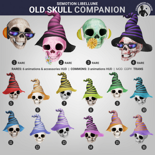 4. SEmotion Libellune Old Skull XS Companion RARE