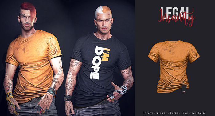 Legal Insanity - Dillon tshirt #29