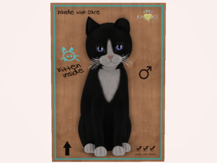 NBK M BDB Chateau Cat - Black & White No. 3