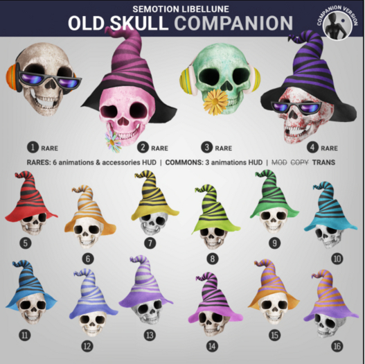 4. SEmotion Libellune Old Skull XS Companion RARE