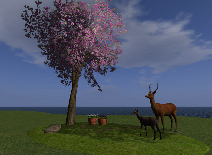 Garden grass scene with Deer