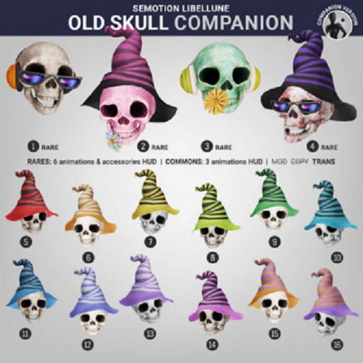 3. SEmotion Libellune Old Skull XS Companion RARE