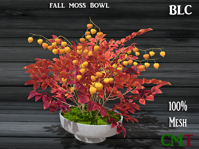 BLC Fall moss bowl