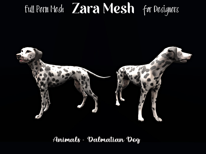 ZM - Animals - Dalmatian Dog FULL PERM MESH