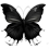 Black Wind
